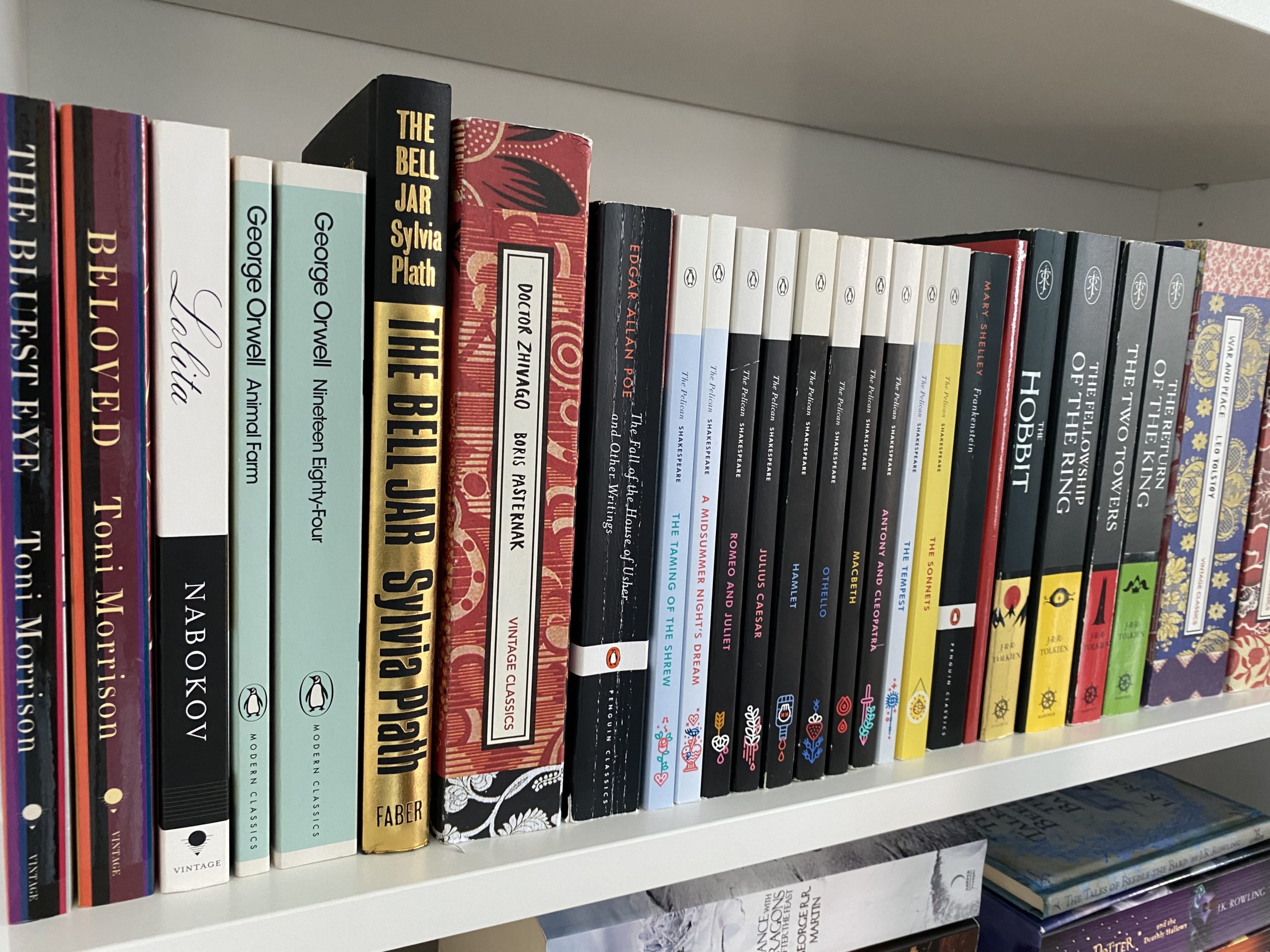 Bookshelf featuring classic and modern classic books